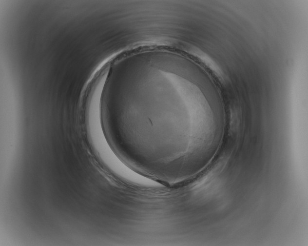 X0000113250878200909101426