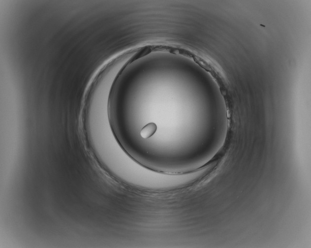 X0000113250880200909101426