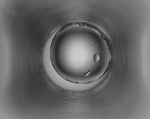 X0000113250881200909101426