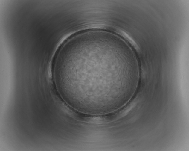 X0000113250883200909101426
