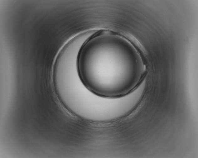 X0000113250884200909101426