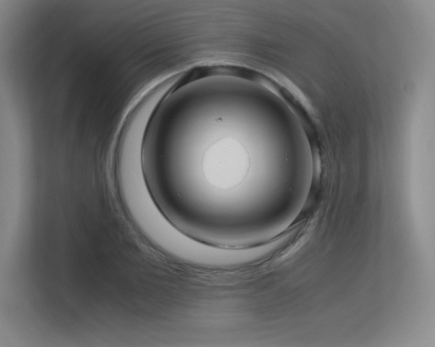 X0000113250885200909101426