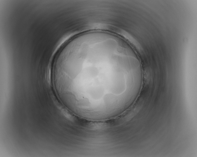X0000113250886200909101426
