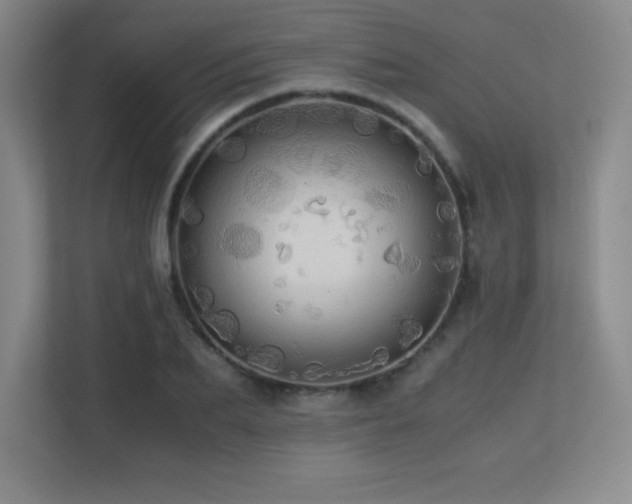 X0000113250887200909101426