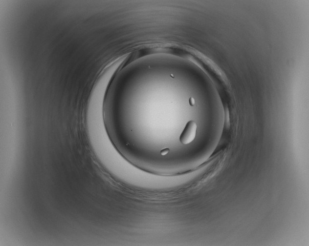 X0000113250889200909101426