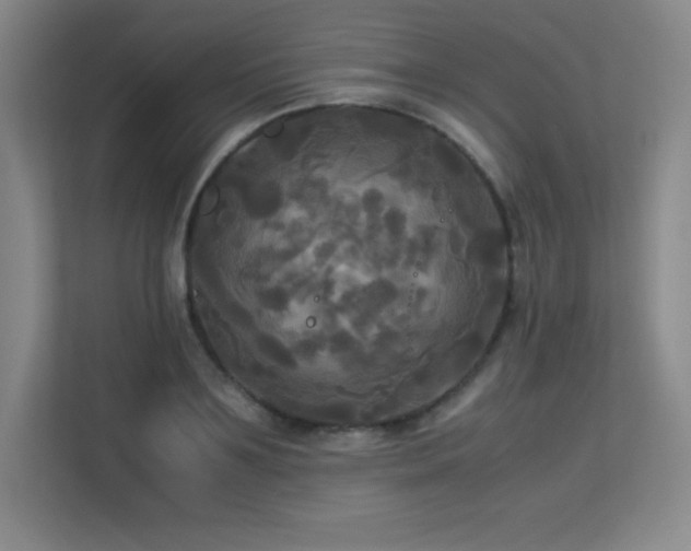 X0000113250891200909101426
