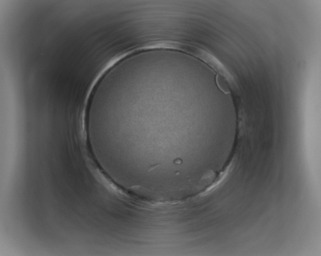 X0000113250892200909101426
