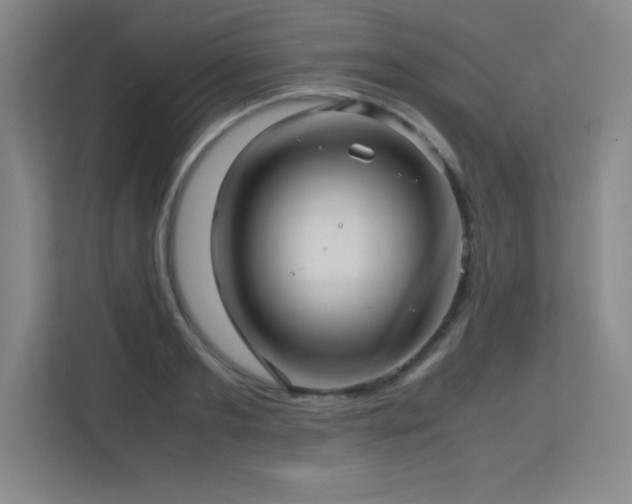 X0000113250893200909101426
