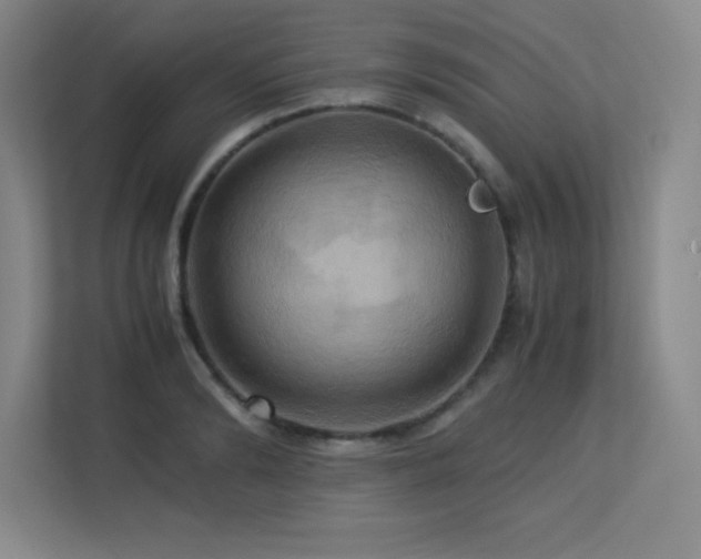 X0000113250894200909101426