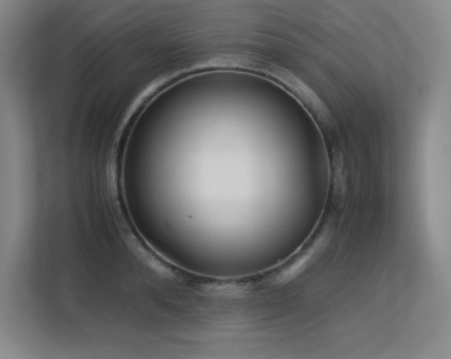 X0000113250896200909101426