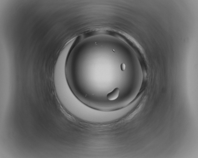 X0000113250897200909101426