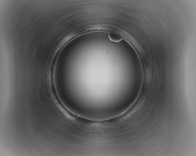 X0000113250898200909101426