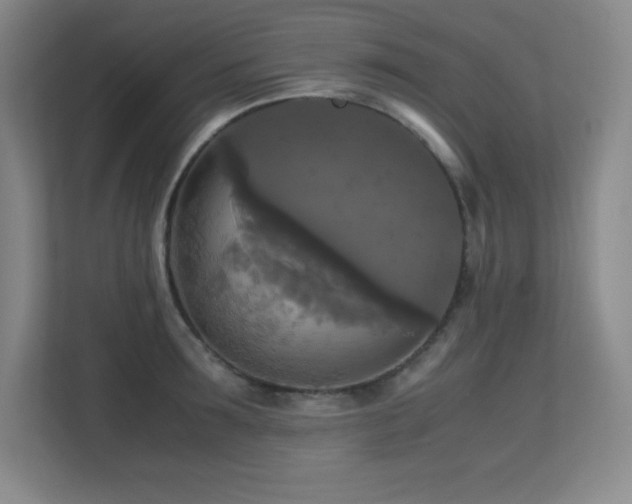 X0000113250899200909101426