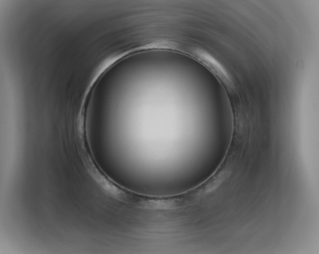 X0000113250900200909101426