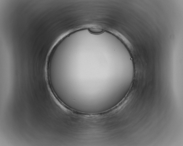 X0000113250902200909101426