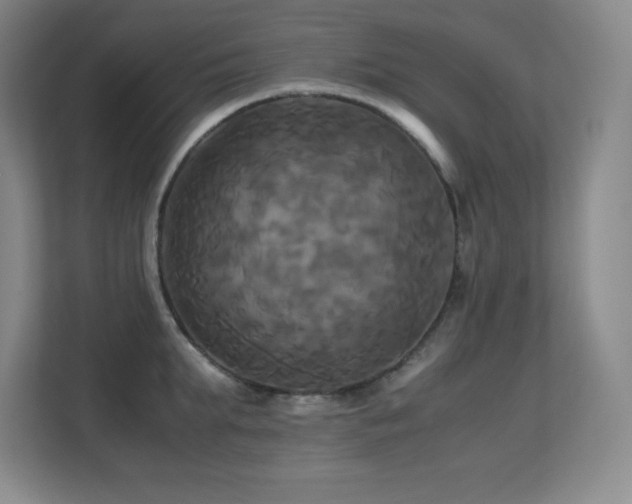 X0000113250903200909101426