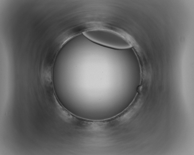 X0000113250905200909101426