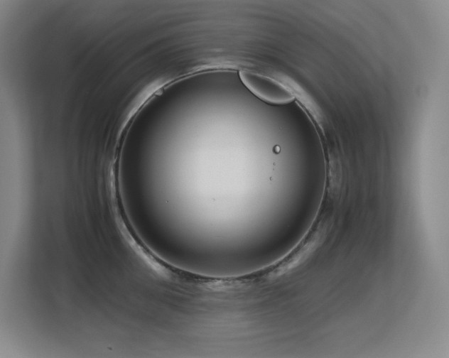 X0000113250906200909101426