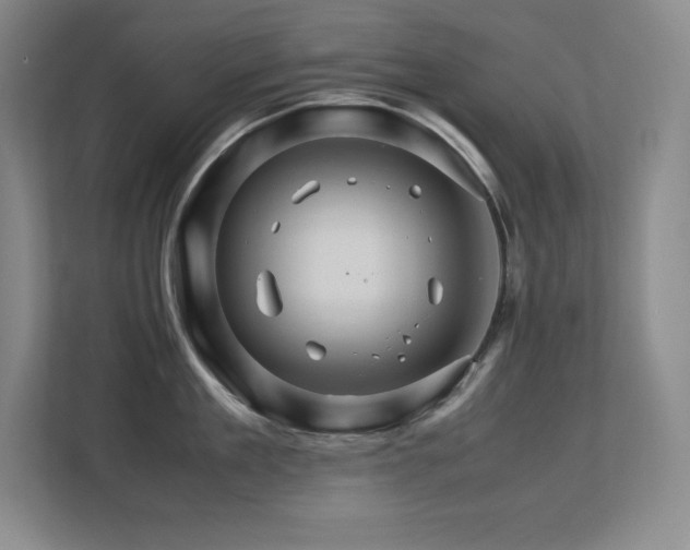 X0000113250909200909101426