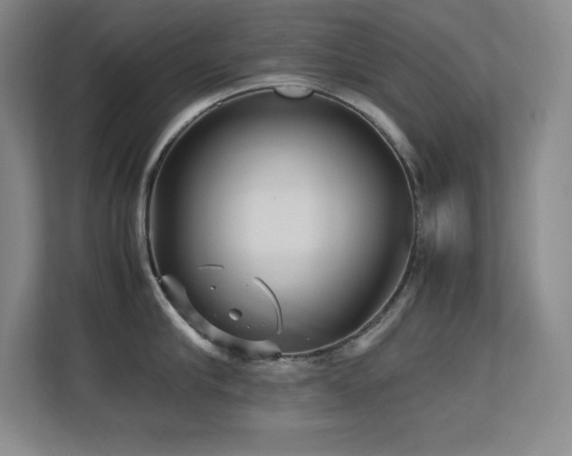 X0000113250910200909101426