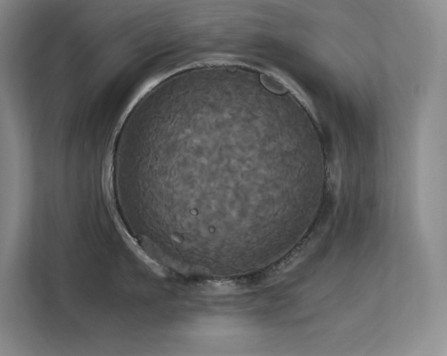 X0000113250911200909101426