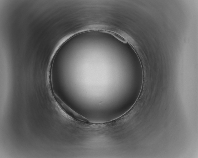 X0000113250912200909101426