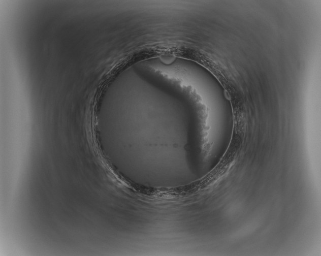 X0000113250913200909101425