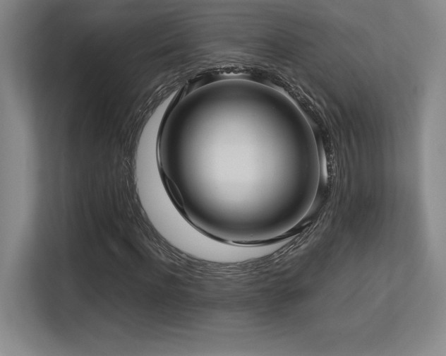 X0000113250916200909101425