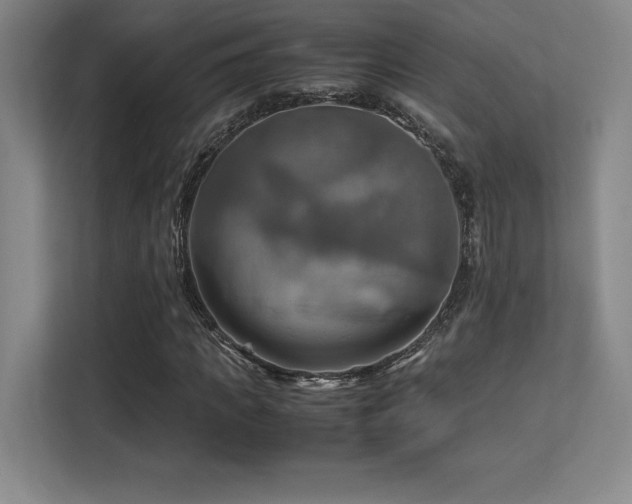 X0000113250917200909101425