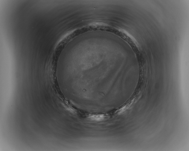 X0000113250919200909101425