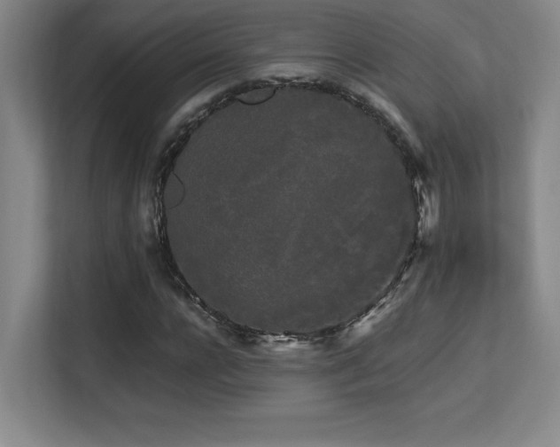 X0000113250920200909101425