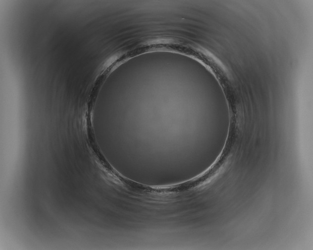 X0000113250921200909101425