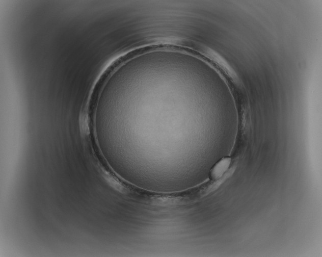 X0000113250924200909101425