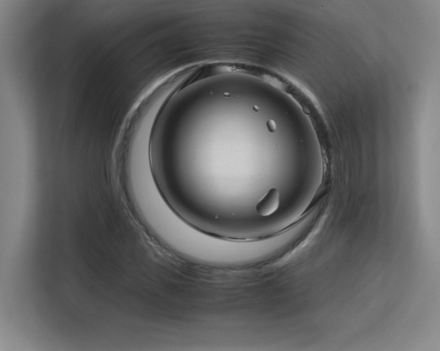 X0000113250925200909101425