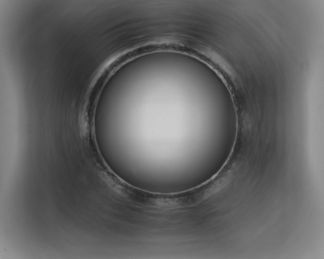 X0000113250927200909101425