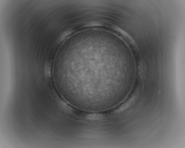 X0000113250929200909101425