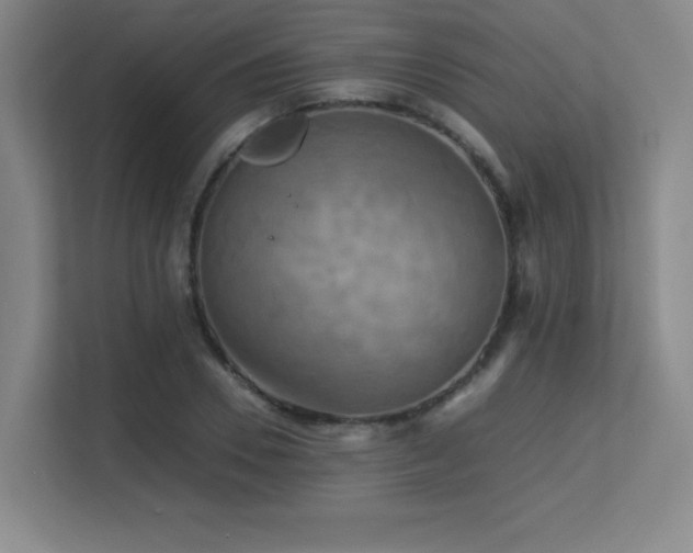 X0000113250930200909101425