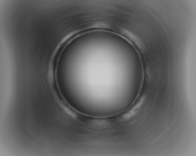 X0000113250931200909101425