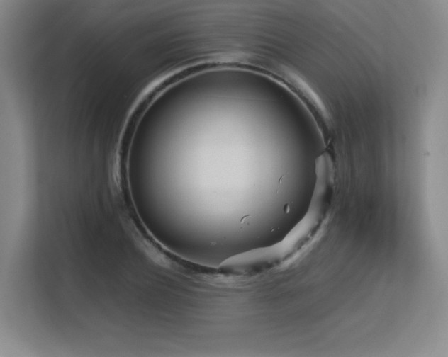 X0000113250932200909101425
