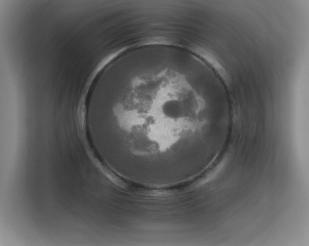 X0000113250933200909101425