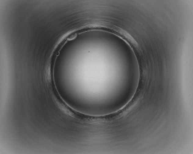 X0000113250934200909101425