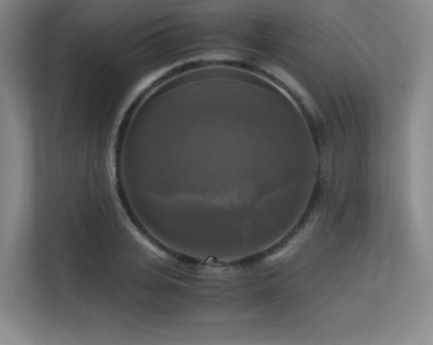 X0000113250935200909101425