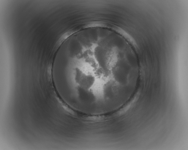 X0000113250937200909101425