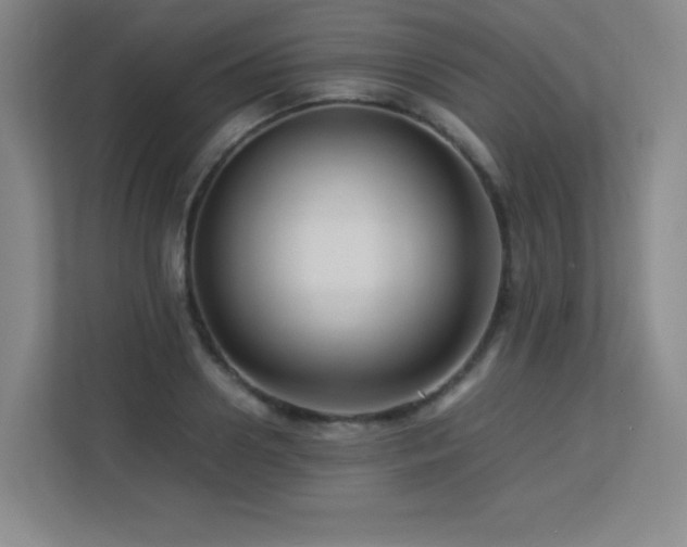 X0000113250938200909101425