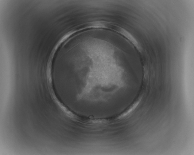 X0000113250939200909101425