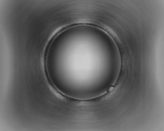 X0000113250942200909101425