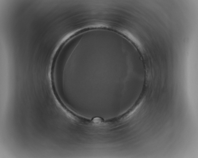 X0000113250943200909101425