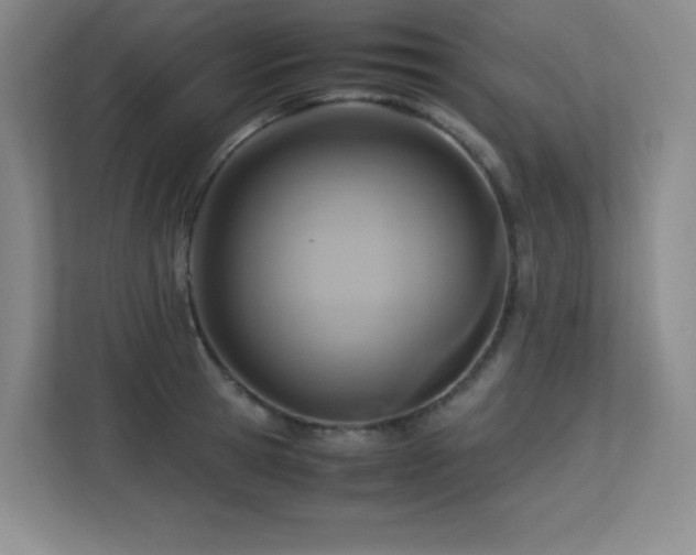 X0000113250945200909101425