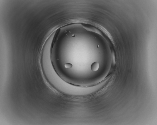 X0000113250946200909101425