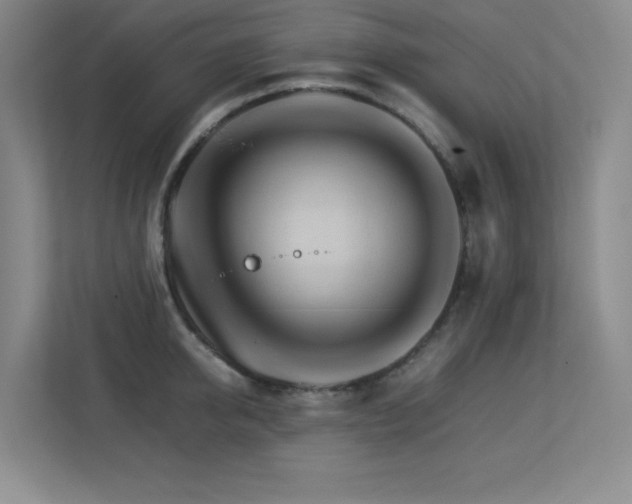 X0000113250950200909101425